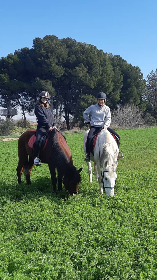 Clases de perfeccionamiento ecuestre en Centro Hípico Las Torres